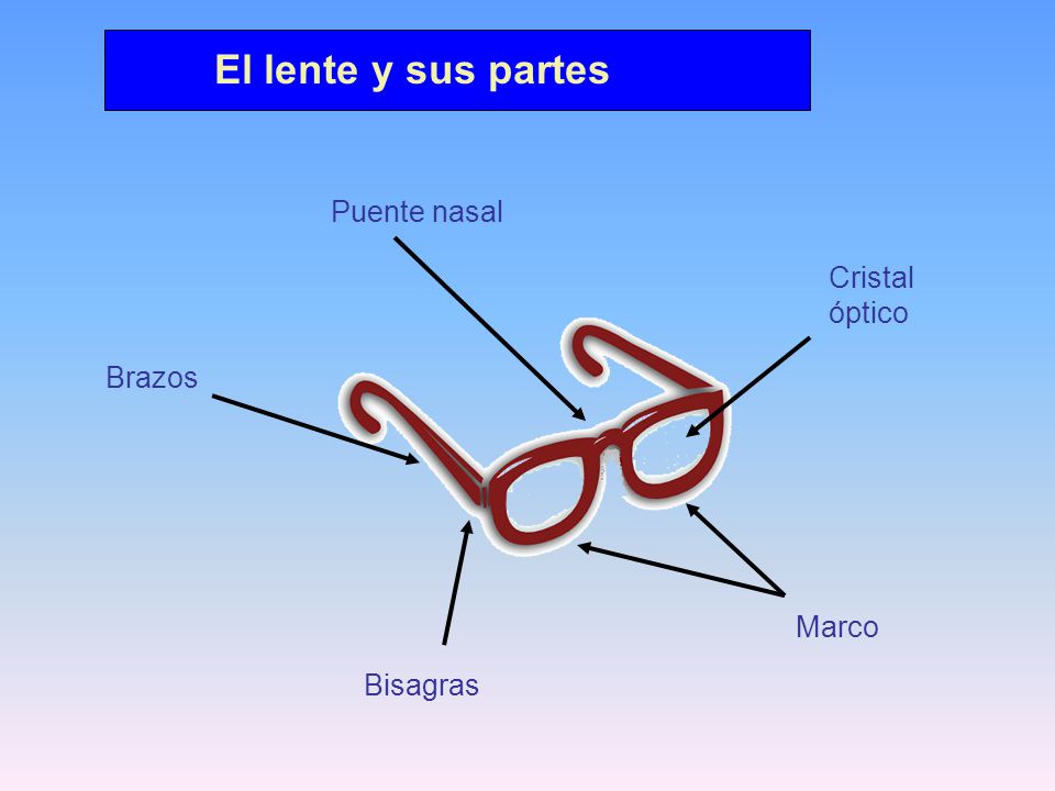 El lente y sus partes Puente nasal Cristal óptico Brazos Marco