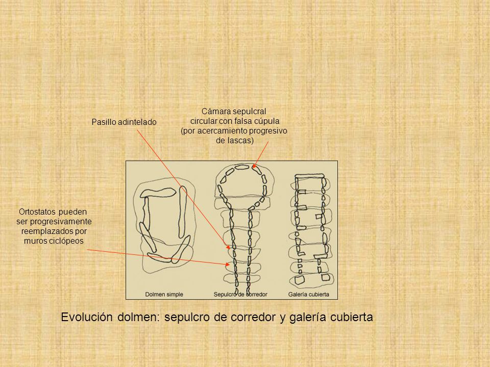 Evolución dolmen: sepulcro de corredor y galería cubierta