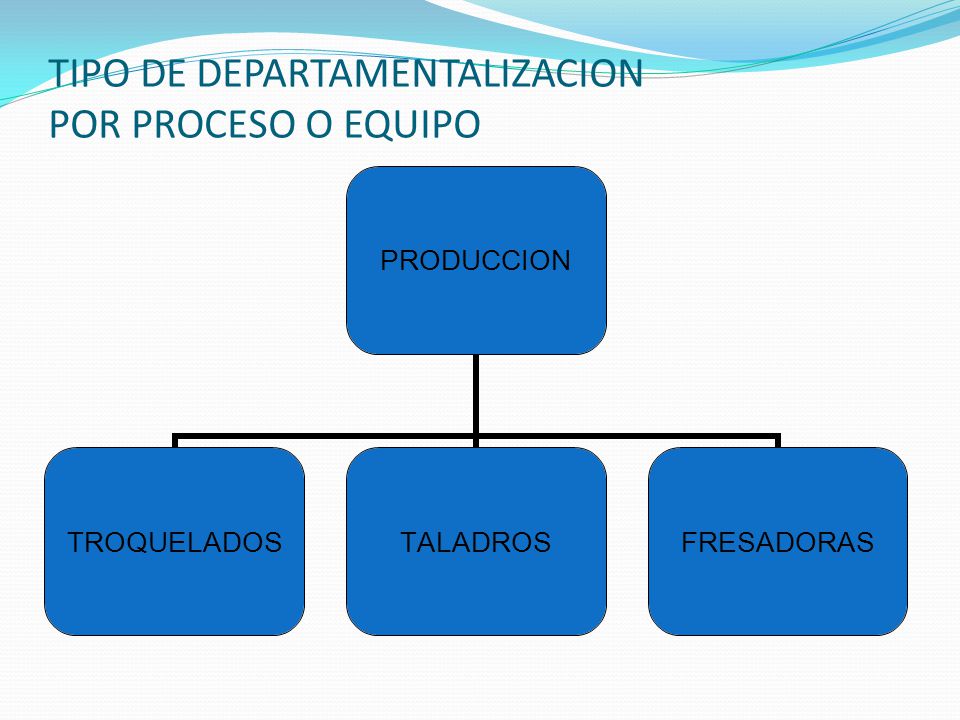 TIPO DE DEPARTAMENTALIZACION POR PROCESO O EQUIPO