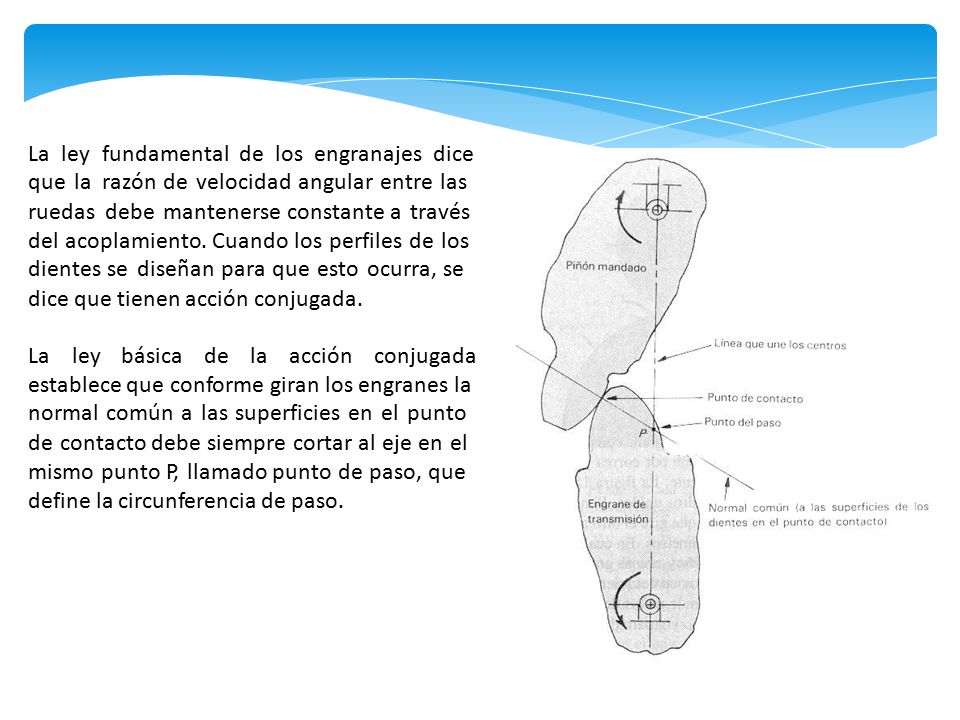 La ley que la. ruedas. fundamental de los engranajes dice. razón de velocidad angular entre las.