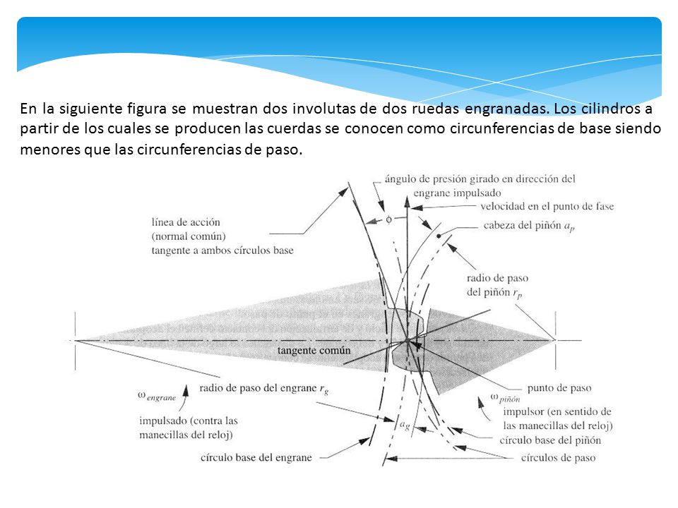 En la siguiente figura se muestran dos involutas de dos ruedas engranadas. Los cilindros a