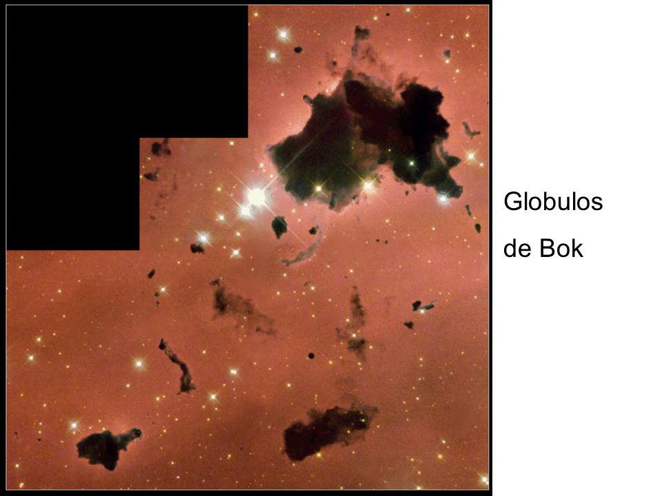 Globulos de Bok