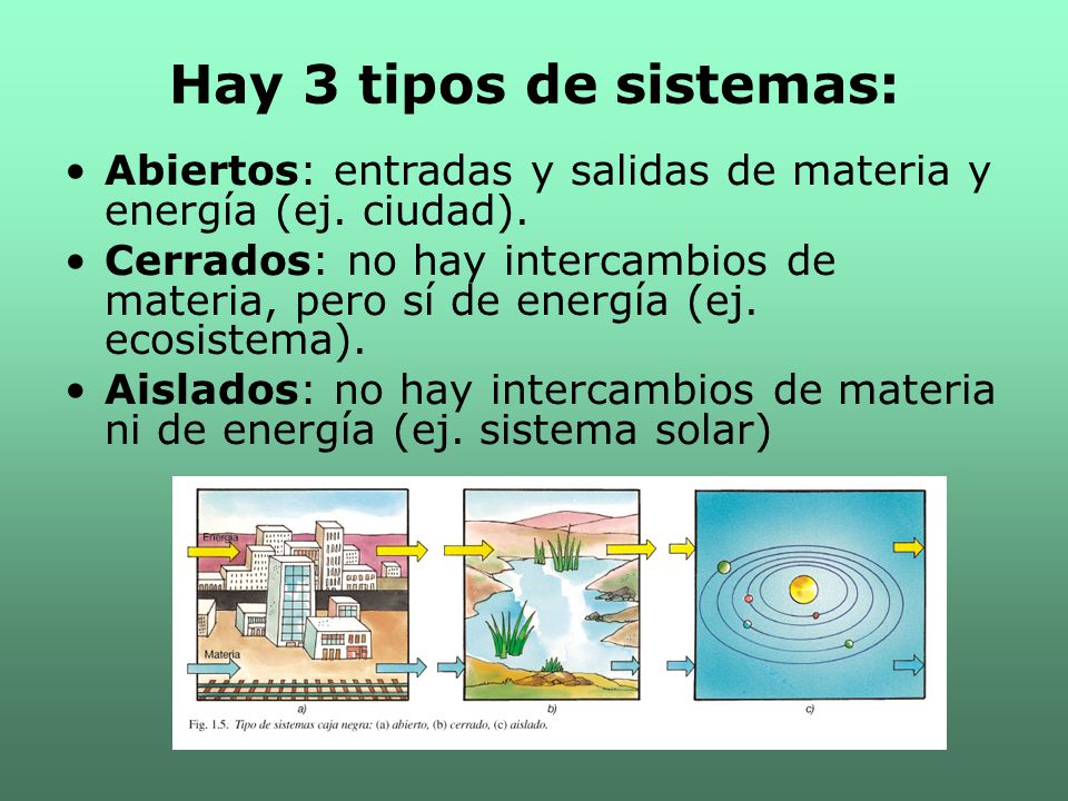 Hay 3 tipos de sistemas: Abiertos: entradas y salidas de materia y energía (ej. ciudad).