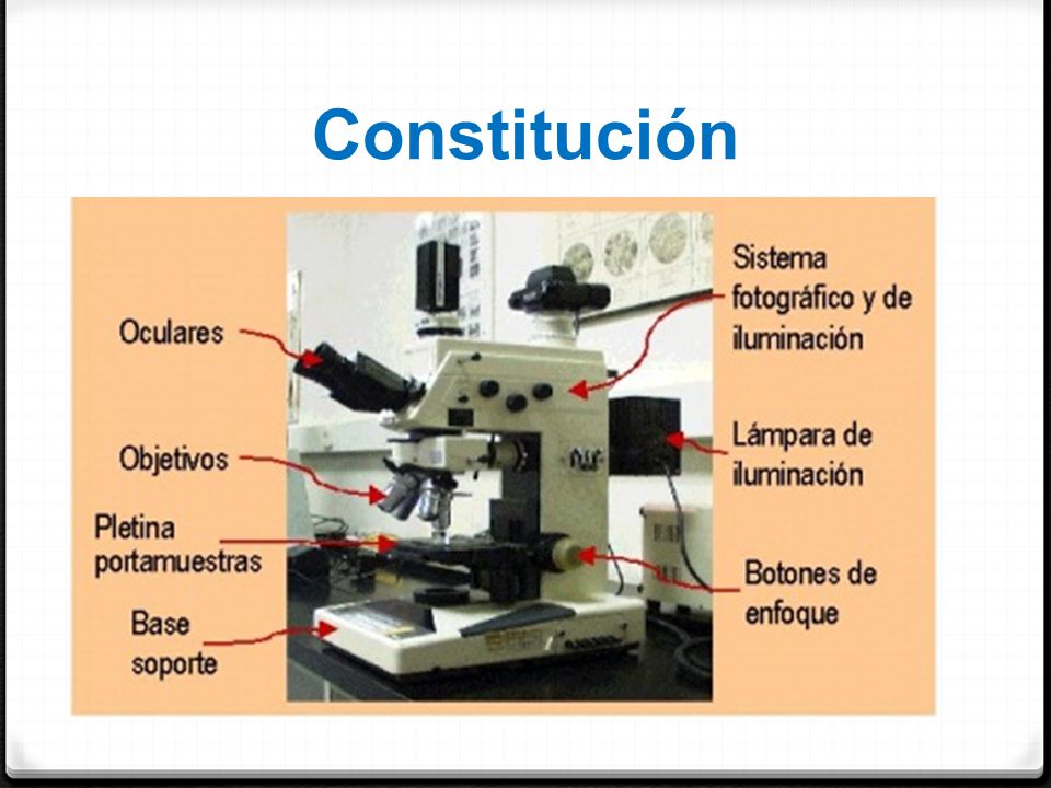 Microscopio Metalográfico - ppt video online descargar