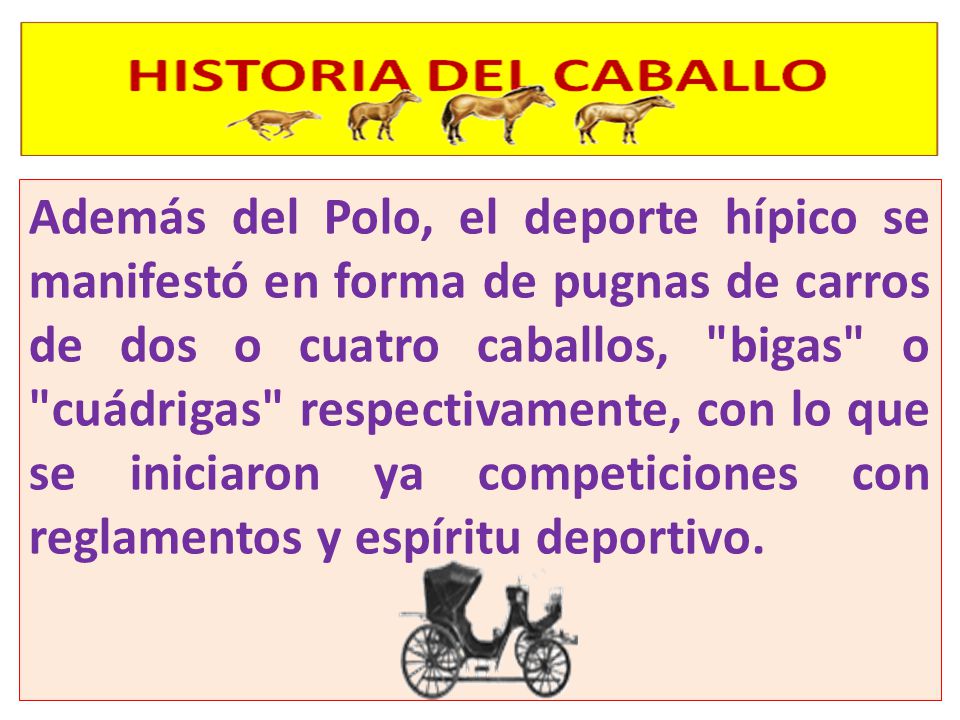 Además del Polo, el deporte hípico se manifestó en forma de pugnas de carros de dos o cuatro caballos, bigas o cuádrigas respectivamente, con lo que se iniciaron ya competiciones con reglamentos y espíritu deportivo.