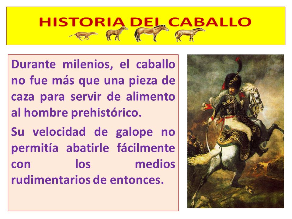 Durante milenios, el caballo no fue más que una pieza de caza para servir de alimento al hombre prehistórico.
