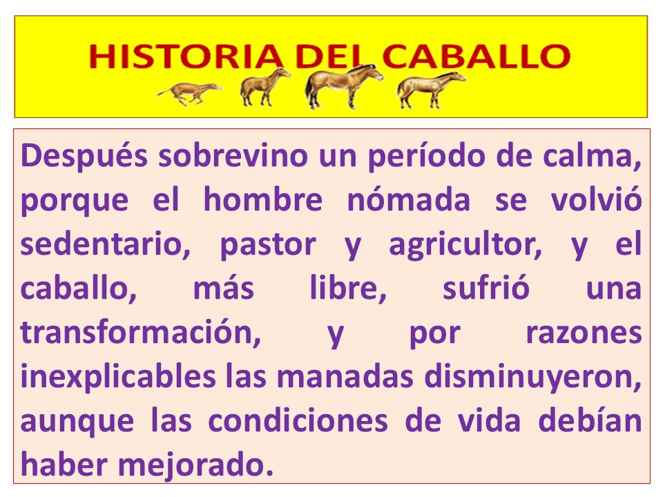 Después sobrevino un período de calma, porque el hombre nómada se volvió sedentario, pastor y agricultor, y el caballo, más libre, sufrió una transformación, y por razones inexplicables las manadas disminuyeron, aunque las condiciones de vida debían haber mejorado.