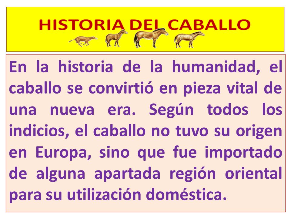 En la historia de la humanidad, el caballo se convirtió en pieza vital de una nueva era.