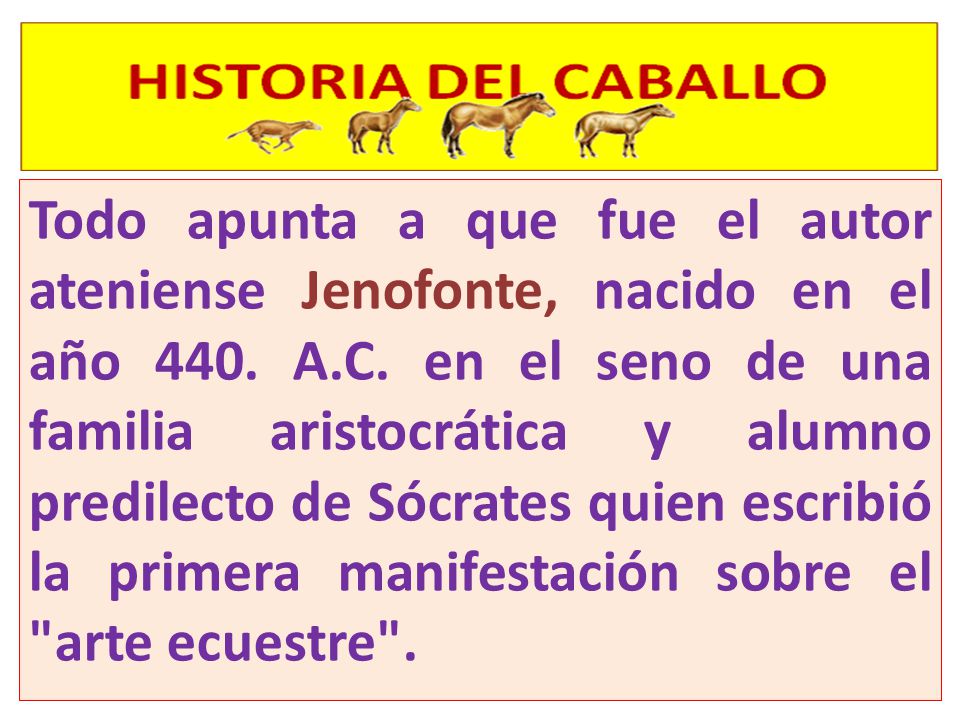 Todo apunta a que fue el autor ateniense Jenofonte, nacido en el año 440.