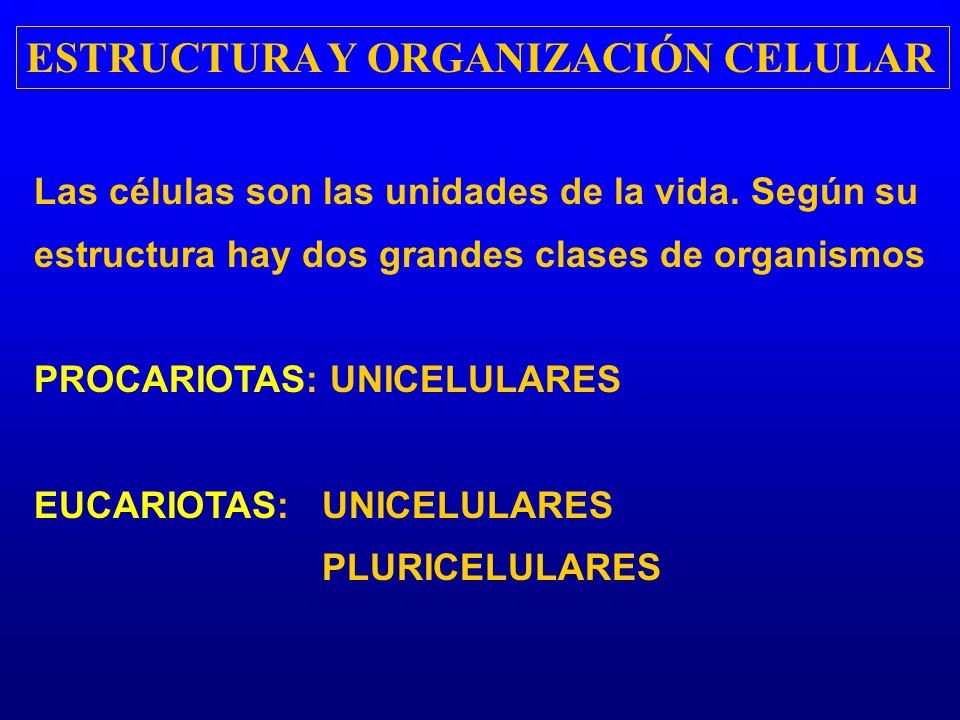 ESTRUCTURA Y ORGANIZACIÓN CELULAR