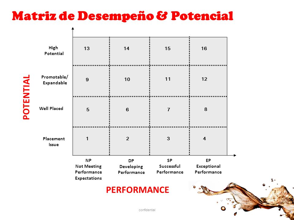 Matriz de Desempeño & Potencial