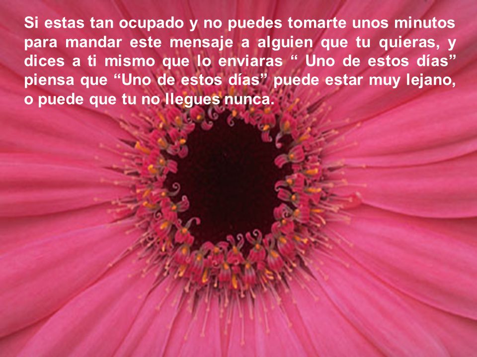 Si estas tan ocupado y no puedes tomarte unos minutos para mandar este mensaje a alguien que tu quieras, y dices a ti mismo que lo enviaras Uno de estos días piensa que Uno de estos días puede estar muy lejano, o puede que tu no llegues nunca.
