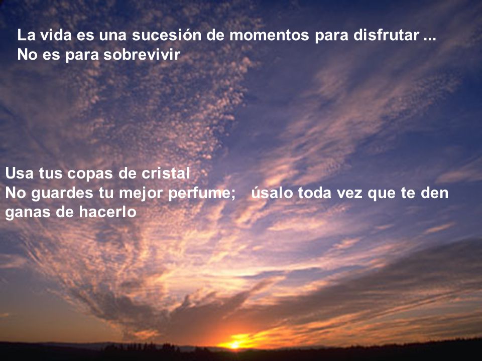 La vida es una sucesión de momentos para disfrutar ...