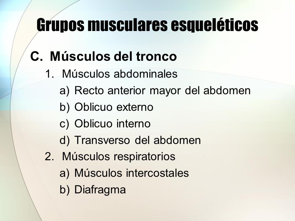 Grupos musculares esqueléticos