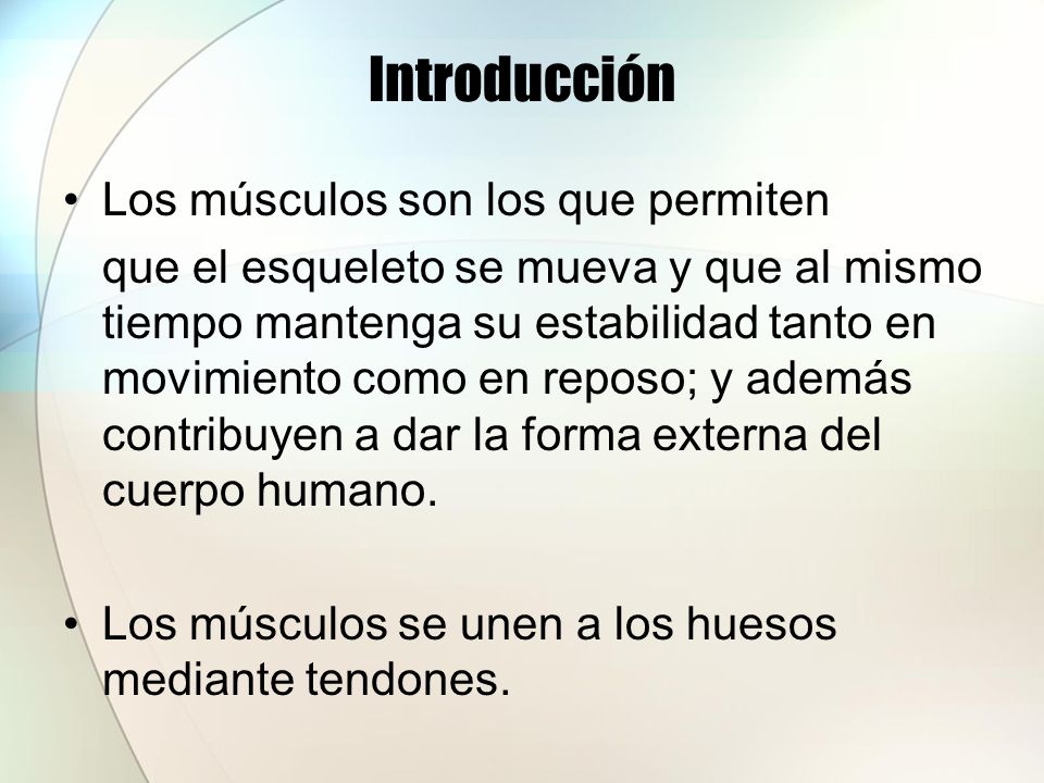 Introducción Los músculos son los que permiten