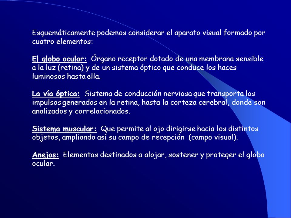 Esquemáticamente podemos considerar el aparato visual formado por cuatro elementos: