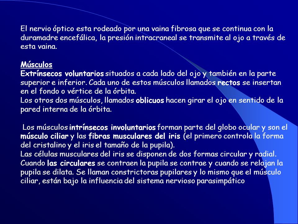 El nervio óptico esta rodeado por una vaina fibrosa que se continua con la duramadre encefálica, la presión intracraneal se transmite al ojo a través de esta vaina.