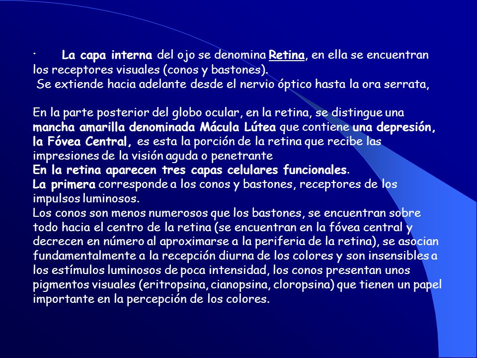 · La capa interna del ojo se denomina Retina, en ella se encuentran los receptores visuales (conos y bastones).