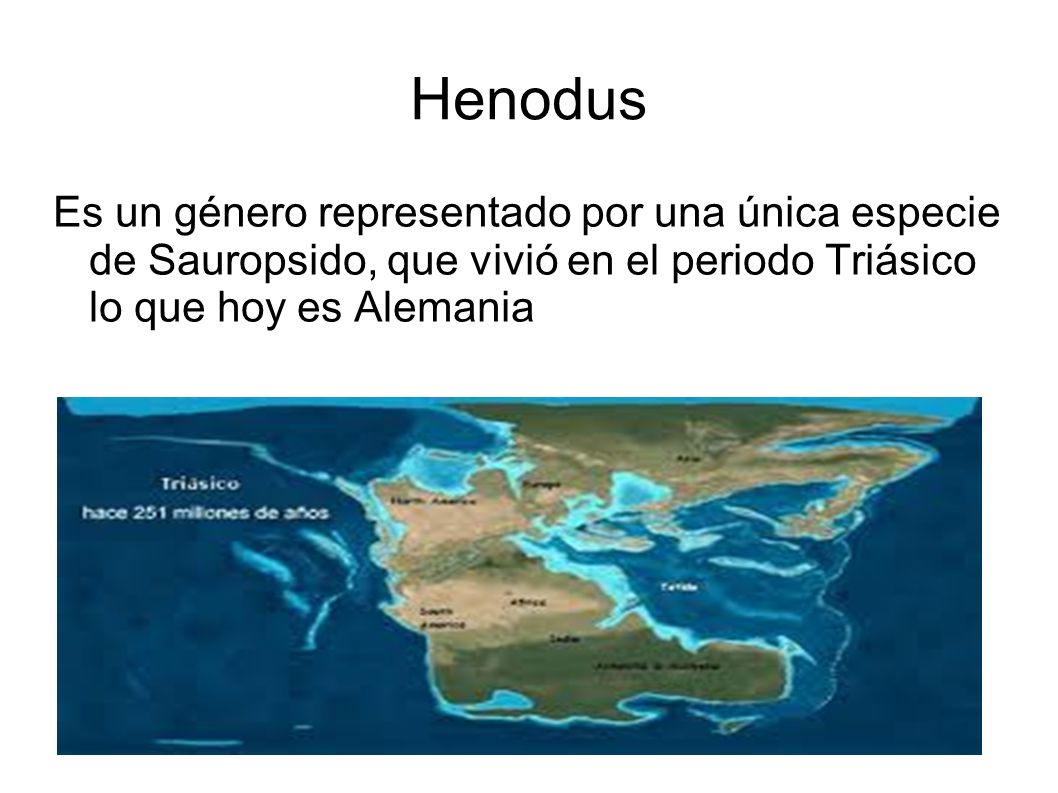 Henodus Es un género representado por una única especie de Sauropsido, que vivió en el periodo Triásico lo que hoy es Alemania.