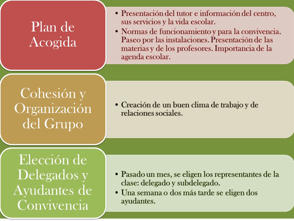Cohesión y Organización del Grupo