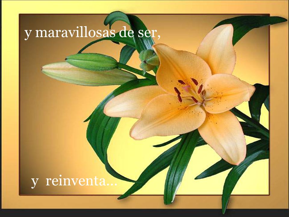 y maravillosas de ser, y reinventa...