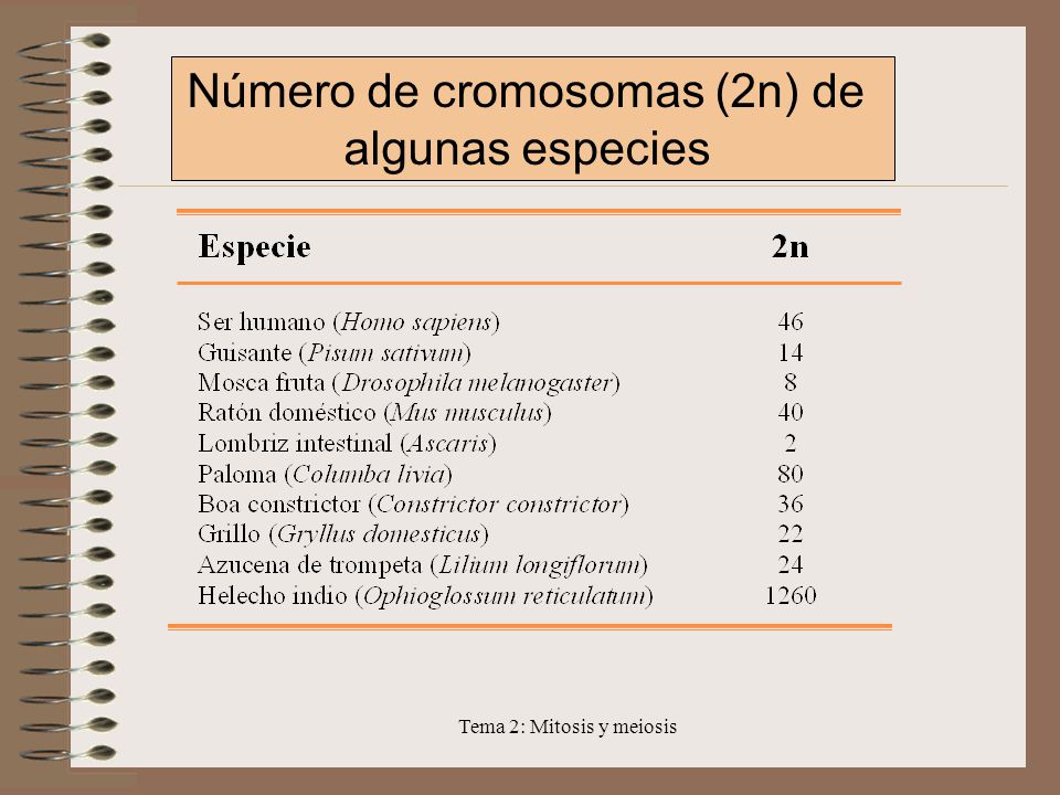 Número de cromosomas (2n) de algunas especies
