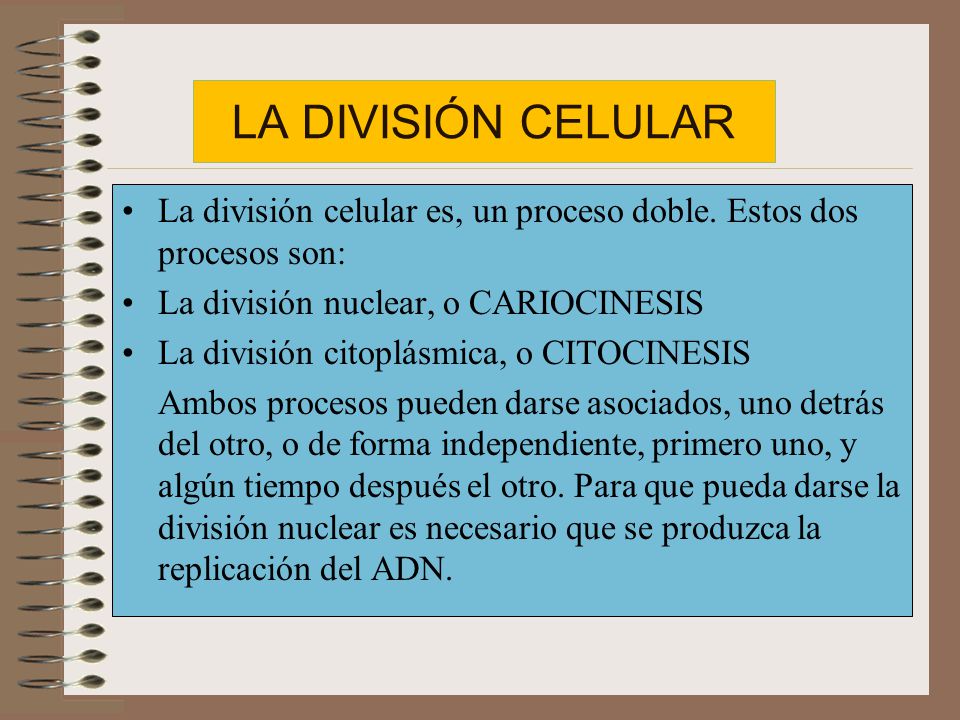 LA DIVISIÓN CELULAR La división celular es, un proceso doble. Estos dos procesos son: La división nuclear, o CARIOCINESIS.