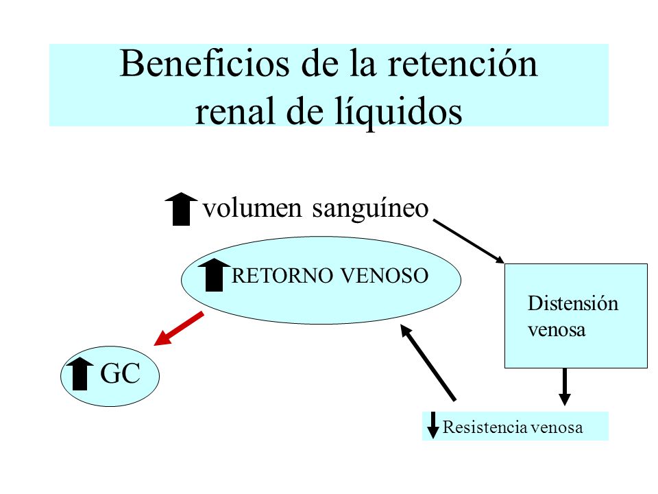 Beneficios de la retención renal de líquidos