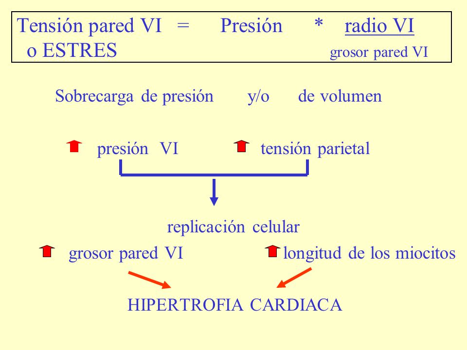 Tensión pared VI = Presión * radio VI o ESTRES grosor pared VI