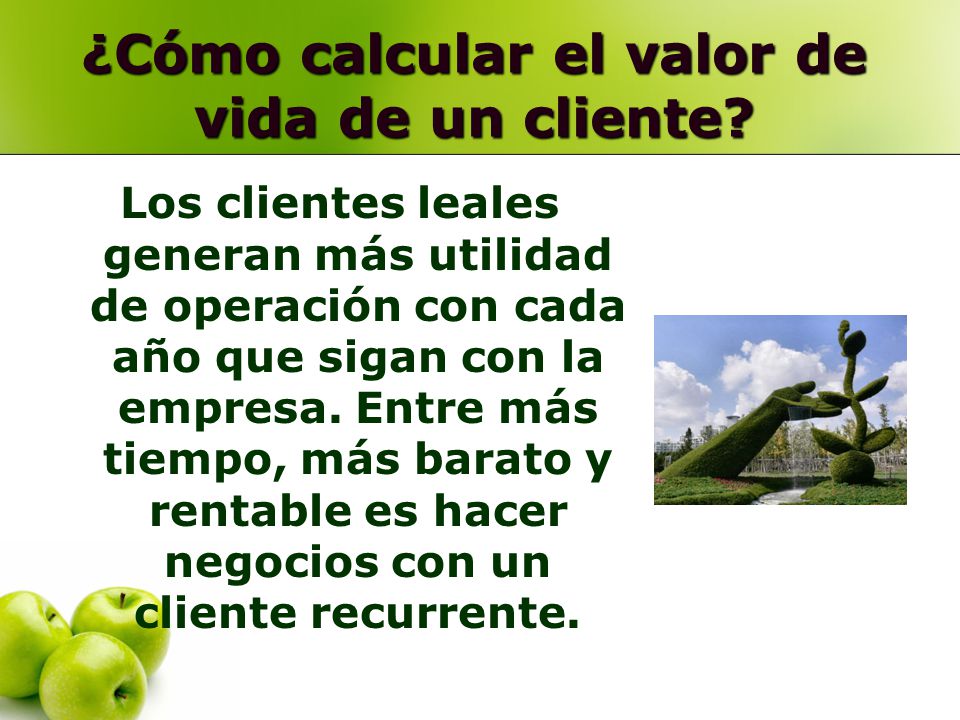 ¿Cómo calcular el valor de vida de un cliente