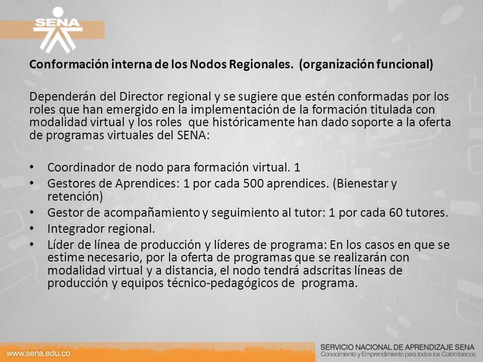 Conformación interna de los Nodos Regionales. (organización funcional)
