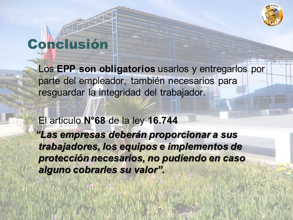 Conclusión Los EPP son obligatorios usarlos y entregarlos por parte del empleador, también necesarios para resguardar la integridad del trabajador.