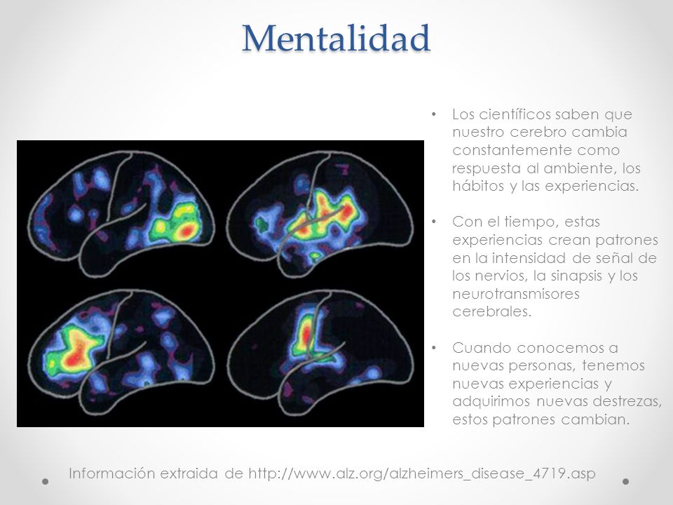 Mentalidad Los científicos saben que nuestro cerebro cambia constantemente como respuesta al ambiente, los hábitos y las experiencias.