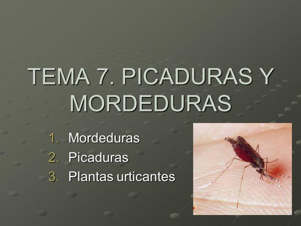 TEMA 7. PICADURAS Y MORDEDURAS