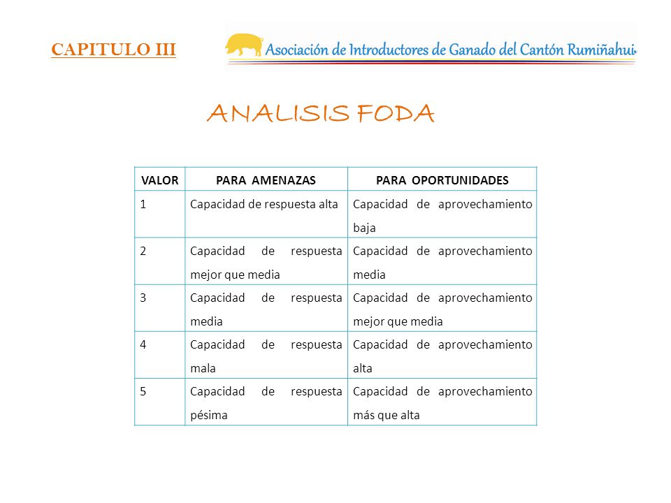ANALISIS FODA CAPITULO III VALOR PARA AMENAZAS PARA OPORTUNIDADES 1