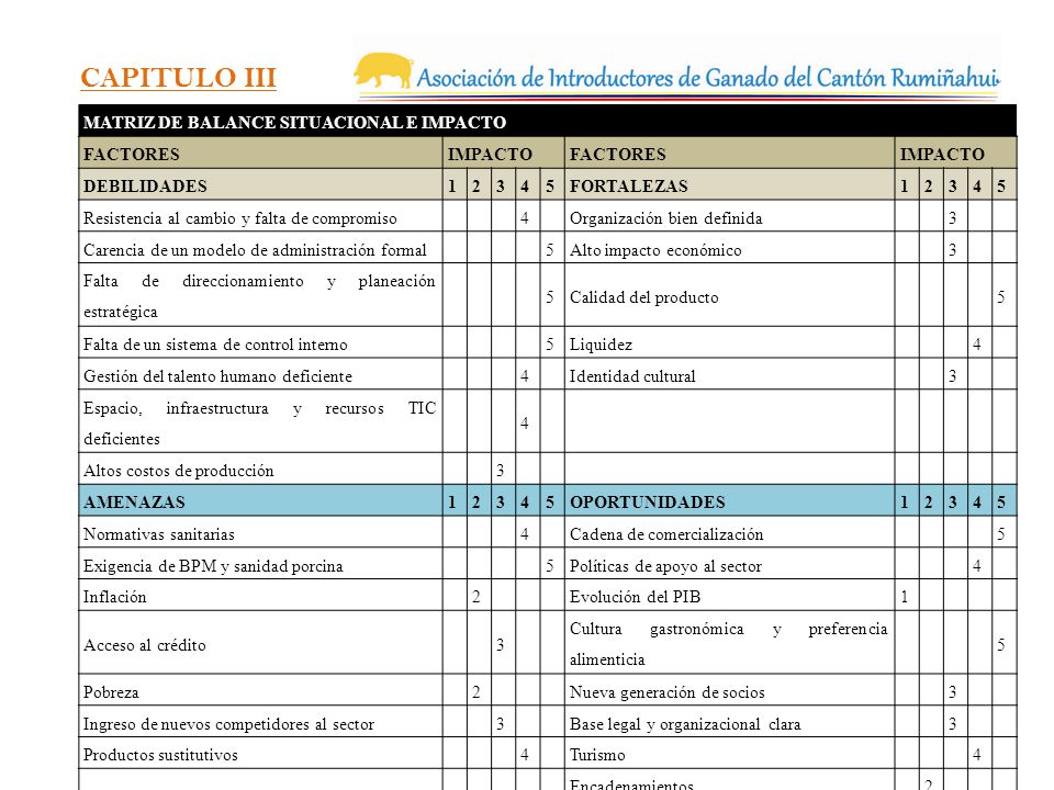 CAPITULO III MATRIZ DE BALANCE SITUACIONAL E IMPACTO FACTORES IMPACTO