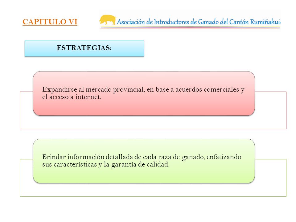 CAPITULO VI ESTRATEGIAS: Expandirse al mercado provincial, en base a acuerdos comerciales y el acceso a internet.