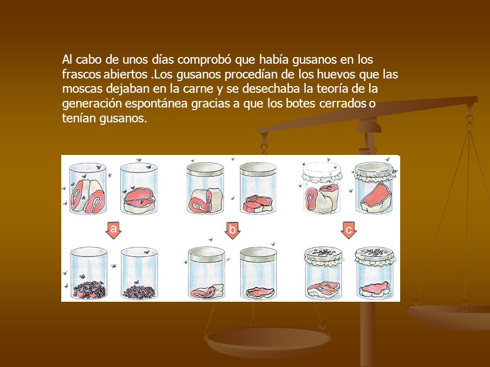 Al cabo de unos días comprobó que había gusanos en los frascos abiertos .Los gusanos procedían de los huevos que las moscas dejaban en la carne y se desechaba la teoría de la generación espontánea gracias a que los botes cerrados o tenían gusanos.