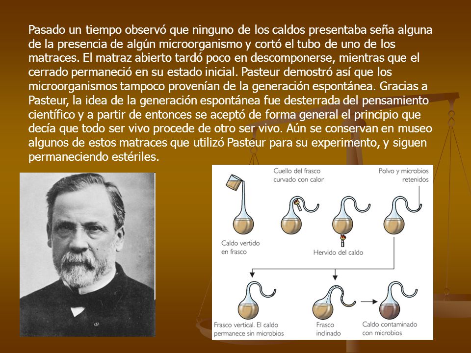 Pasado un tiempo observó que ninguno de los caldos presentaba seña alguna de la presencia de algún microorganismo y cortó el tubo de uno de los matraces.