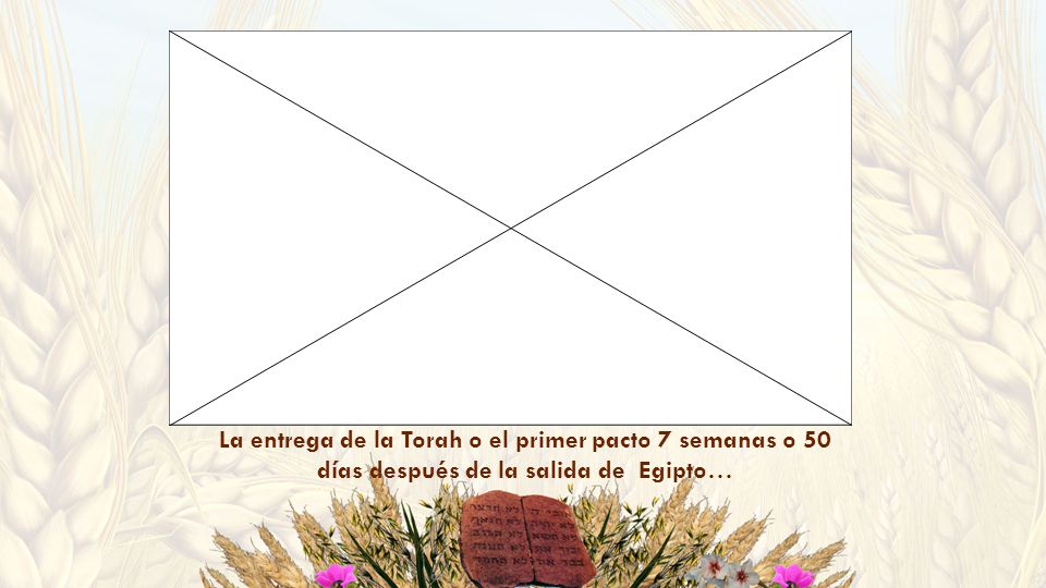 La entrega de la Torah o el primer pacto 7 semanas o 50 días después de la salida de Egipto…