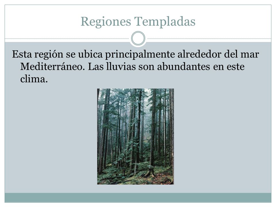 Regiones Templadas Esta región se ubica principalmente alrededor del mar Mediterráneo.