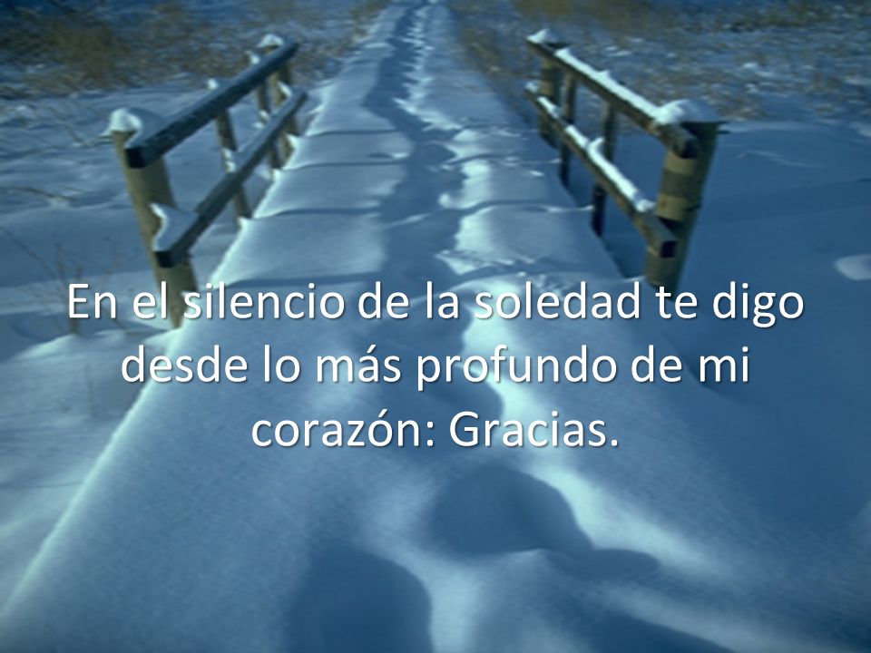 En el silencio de la soledad te digo desde lo más profundo de mi corazón: Gracias.