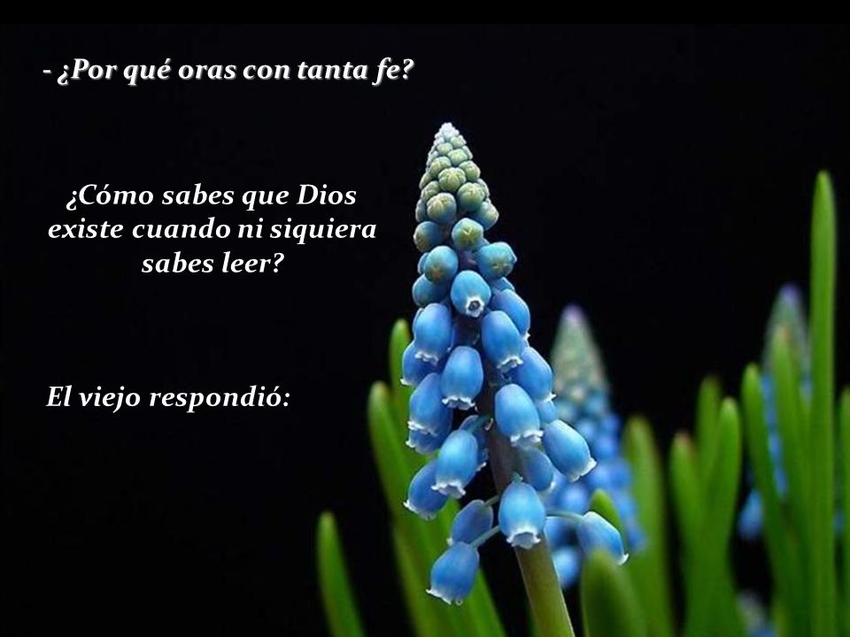 ¿Cómo sabes que Dios existe cuando ni siquiera sabes leer
