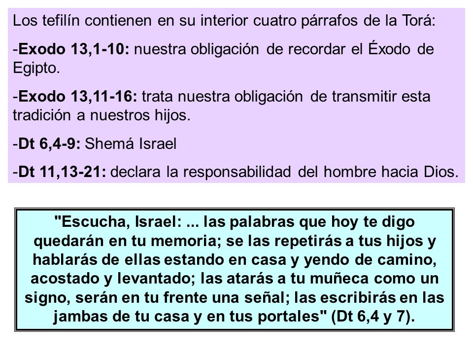 Los tefilín contienen en su interior cuatro párrafos de la Torá: