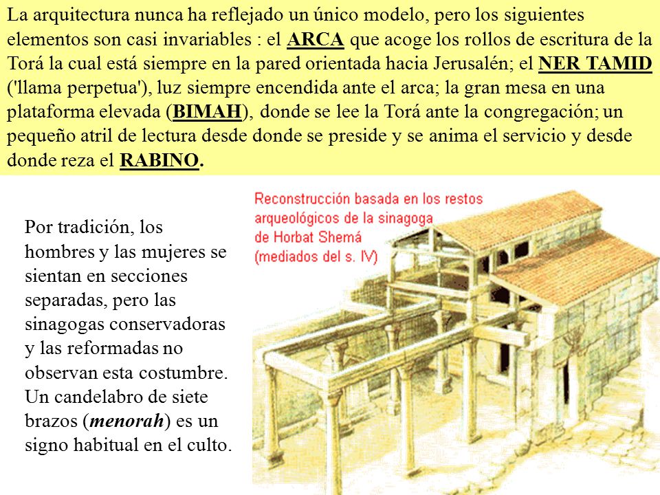 La arquitectura nunca ha reflejado un único modelo, pero los siguientes elementos son casi invariables : el ARCA que acoge los rollos de escritura de la Torá la cual está siempre en la pared orientada hacia Jerusalén; el NER TAMID ( llama perpetua ), luz siempre encendida ante el arca; la gran mesa en una plataforma elevada (BIMAH), donde se lee la Torá ante la congregación; un pequeño atril de lectura desde donde se preside y se anima el servicio y desde donde reza el RABINO.
