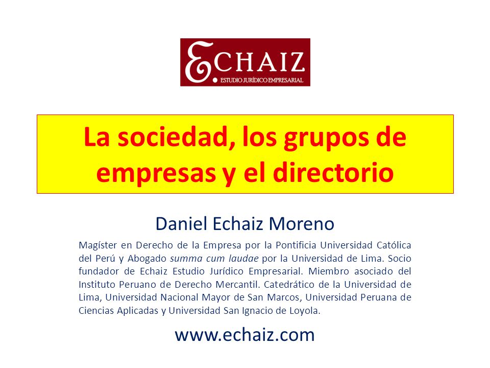 La sociedad, los grupos de empresas y el directorio