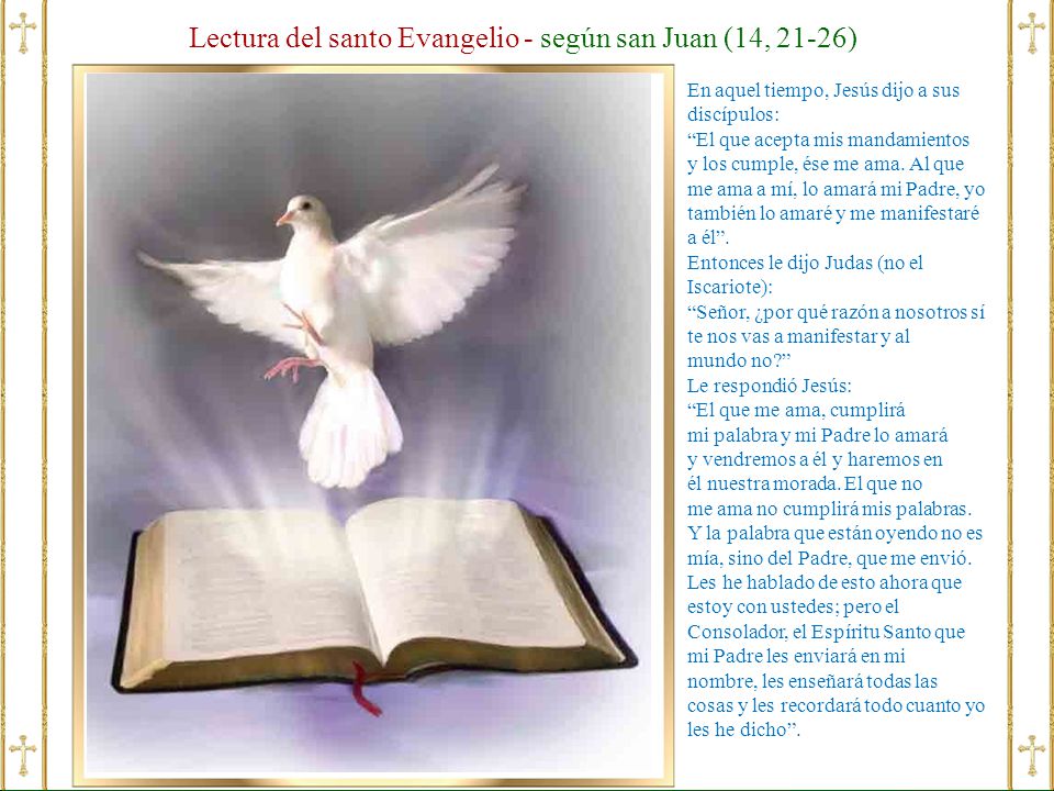 Lectura del santo Evangelio - según san Juan (14, 21-26)