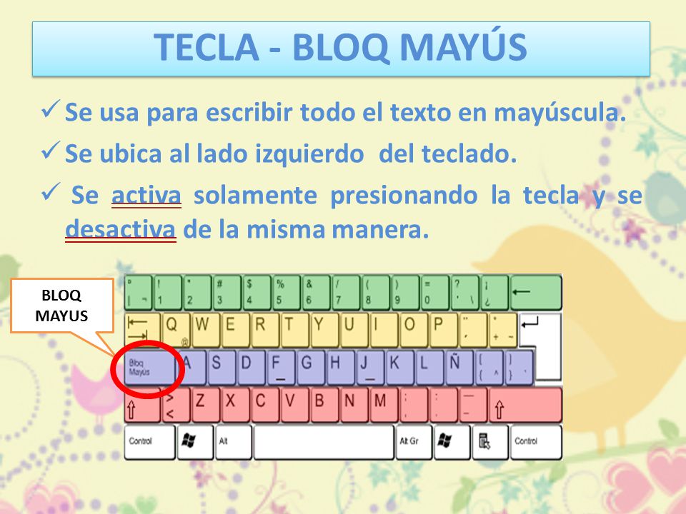 TECLA - BLOQ MAYÚS Se usa para escribir todo el texto en mayúscula.