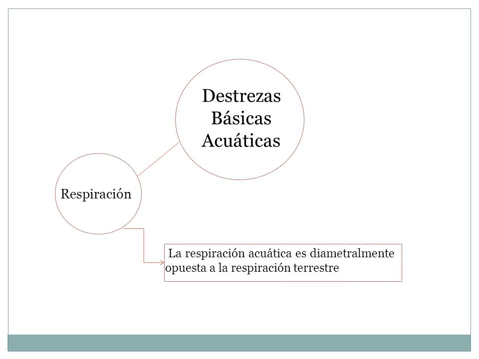 Destrezas Básicas Acuáticas