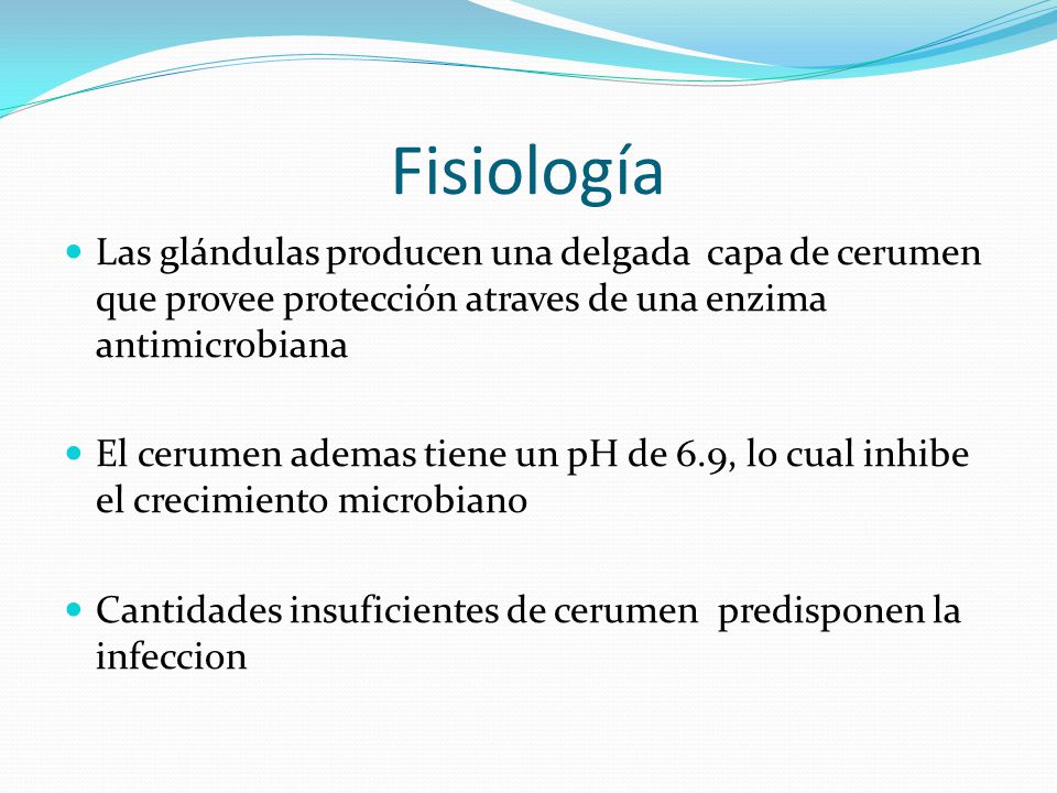 Fisiología Las glándulas producen una delgada capa de cerumen que provee protección atraves de una enzima antimicrobiana.